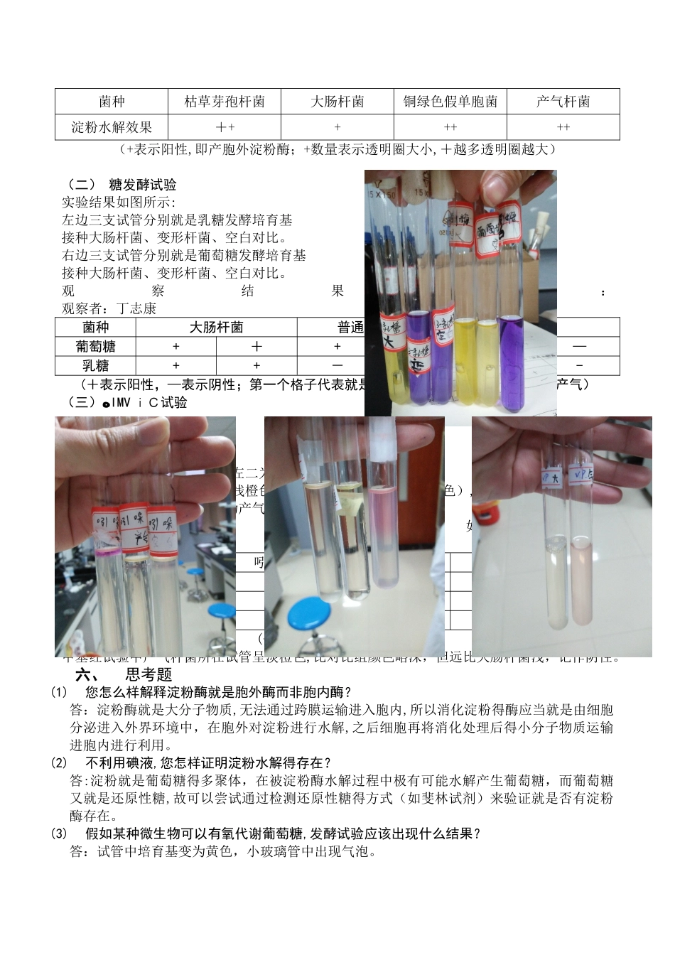 微生物鉴定常用的生理生化试验实验报告_第3页