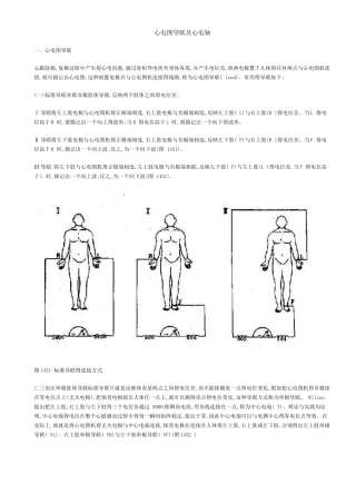 心电图导联及心电轴