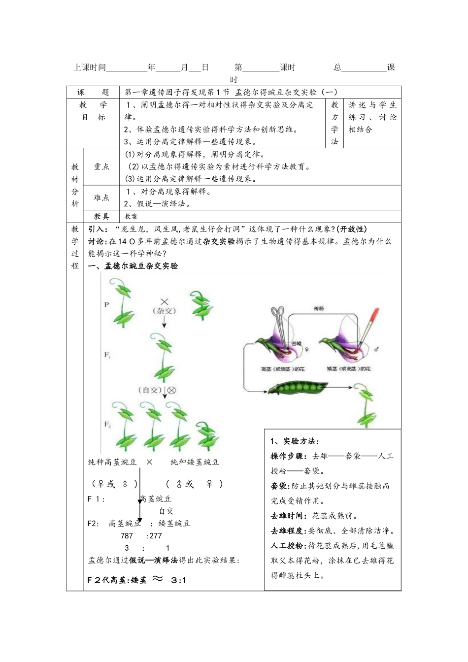 必修二第一章第1节 孟德尔的豌豆杂交实验（一）_第1页