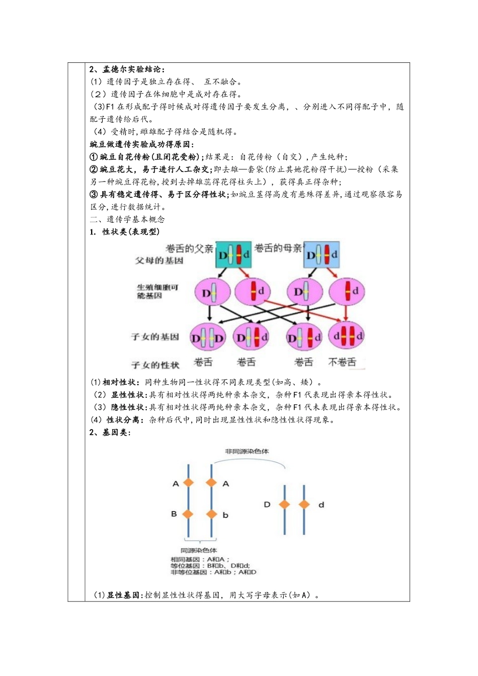 必修二第一章第1节 孟德尔的豌豆杂交实验（一）_第2页