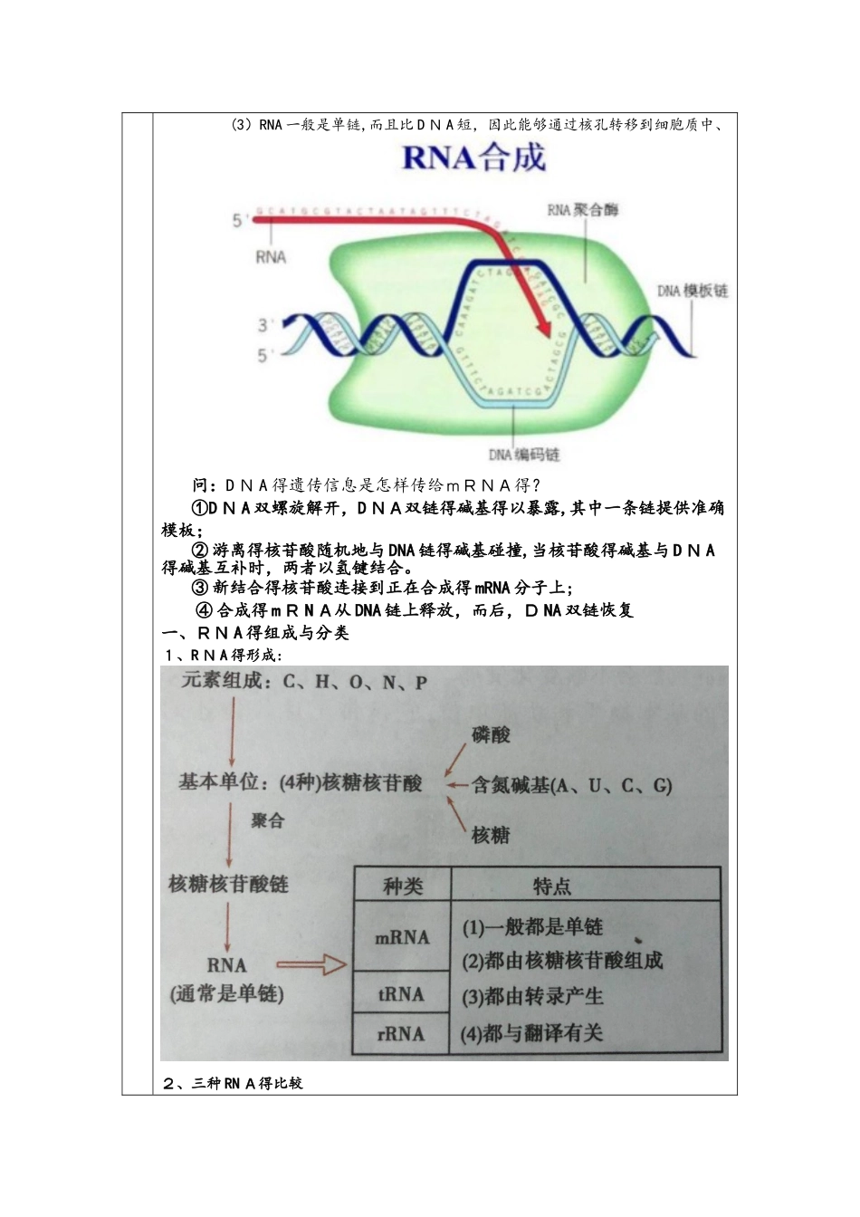 必修二第四章第1节 基因指导蛋白质的合成 学案_第2页