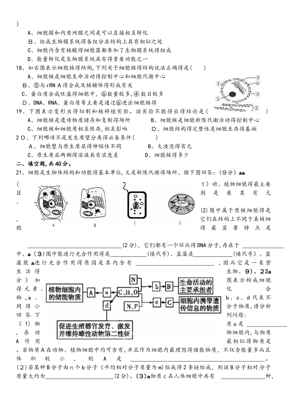 怀集中学高一生物周测11.24(确定）_第3页