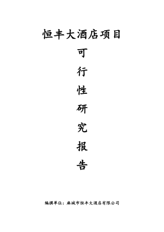 恒丰大酒店项目可行性研究报告书