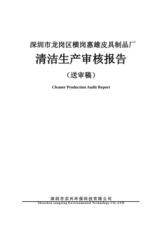 惠雄皮具制品厂清洁生产审核报告