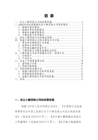 成立小额贷款公司项目可行性研究报告