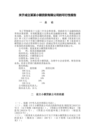 成立贷款公司项目可研报告