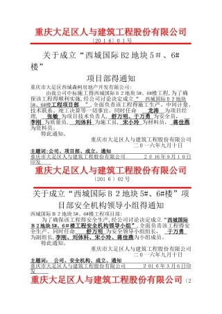 成立项目部红头文件
