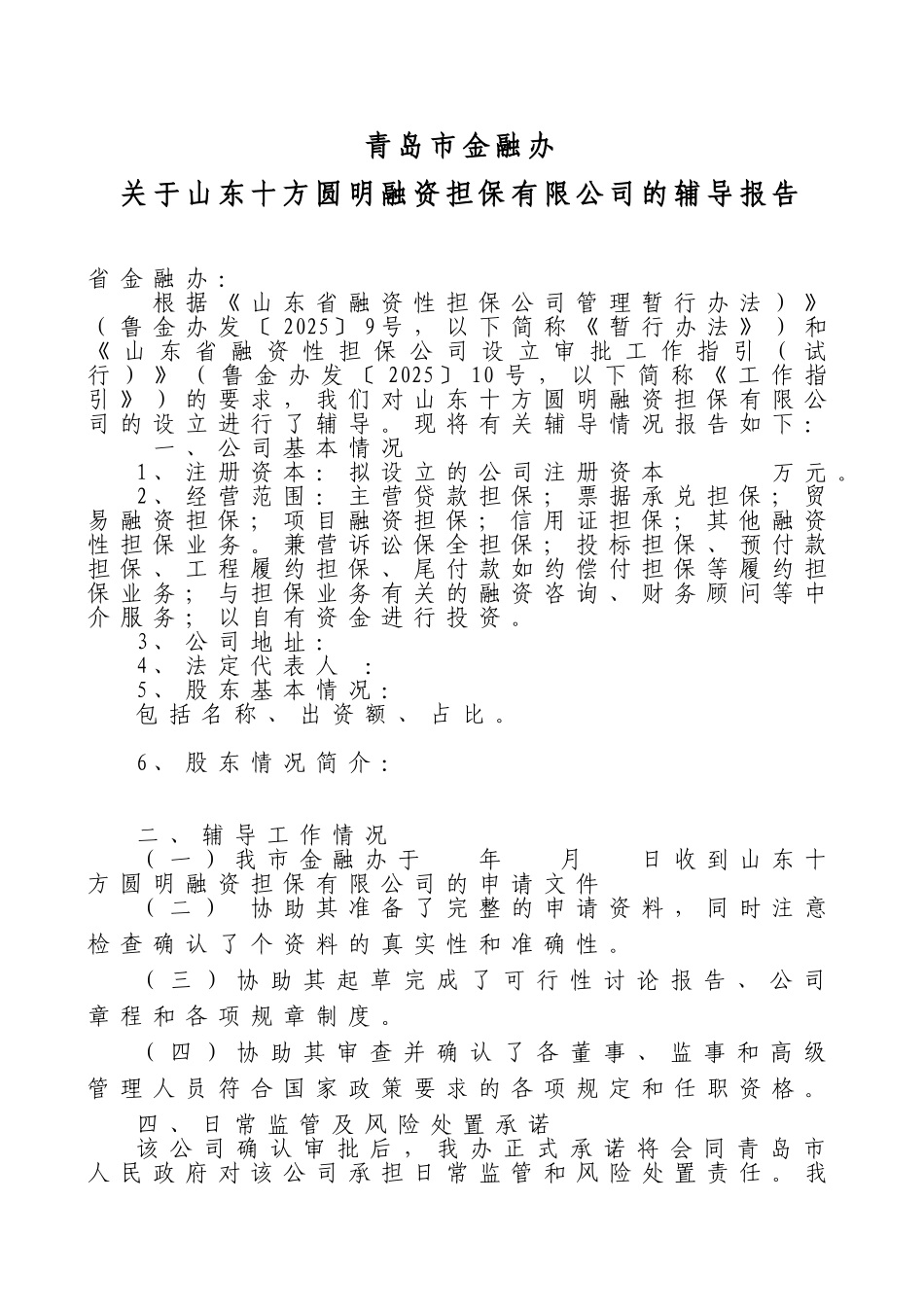 成立融资担保有限公司设立申请材料_第2页