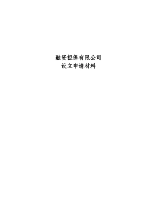 成立融资担保有限公司设立申请材料