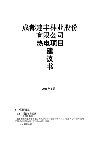 成都建丰林业股份有限公司热电项目建议书