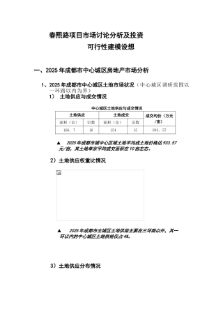 成都春熙路项目市场研究分析及投资可行性报告