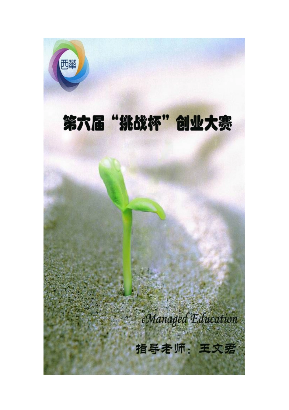 托管教育公司可行性研究报告_第3页