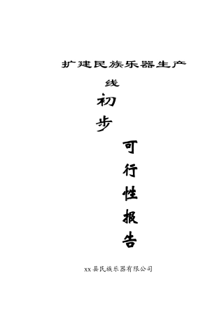 扩建民族乐器生产可行性研究报告