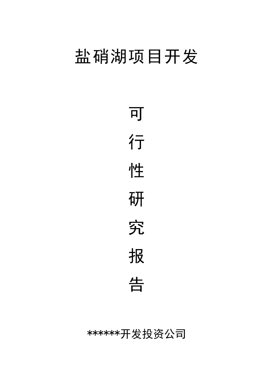 投资建设年产1万吨芒硝、1万吨原盐盐湖泊开发项目可行性研究报告_第2页