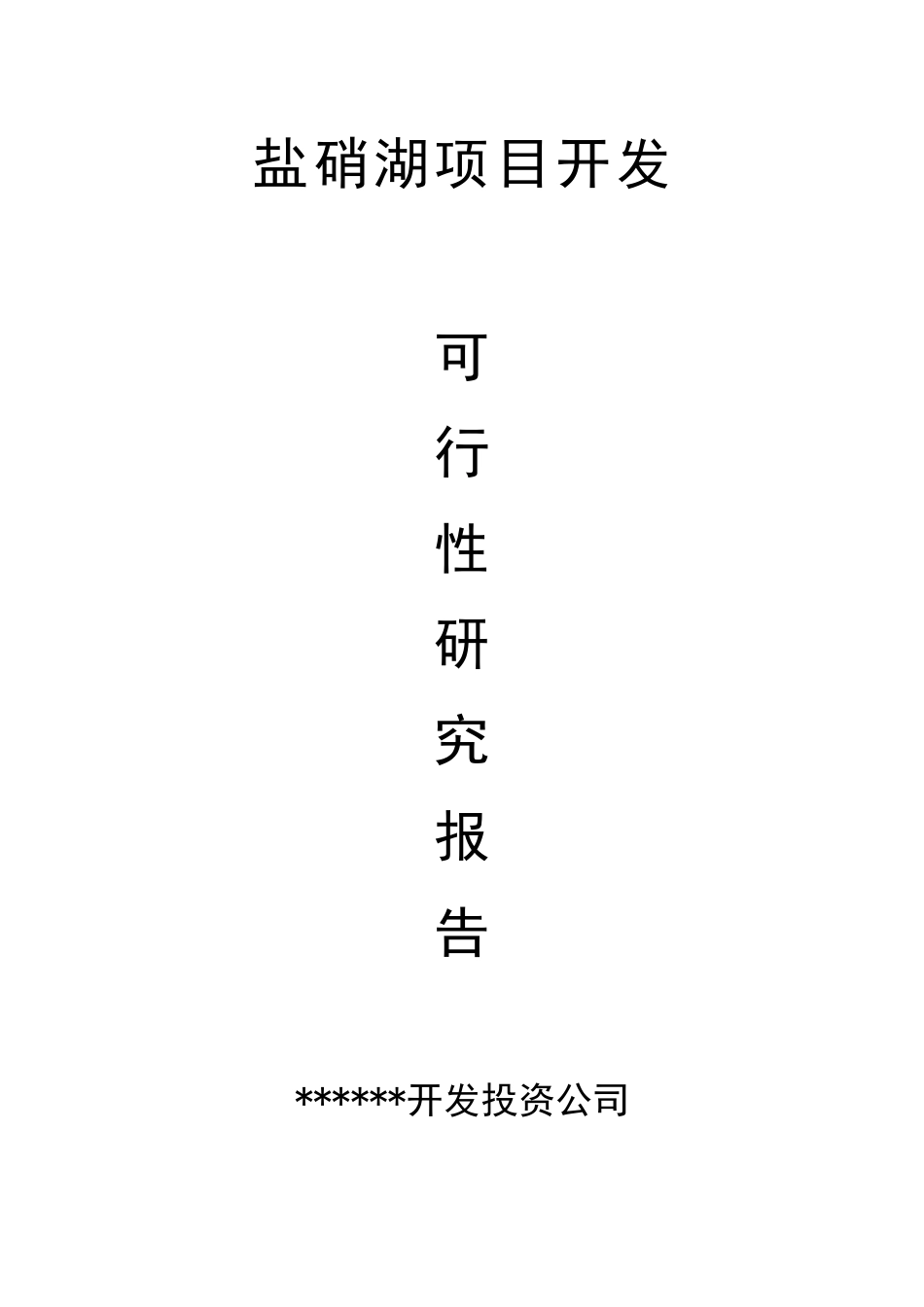 投资建设年产1万吨芒硝、1万吨原盐盐湖泊开发项目可行性研究报告书_第1页