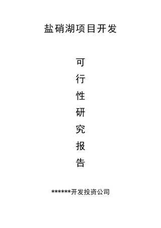 投资建设年产1万吨芒硝、1万吨原盐盐湖泊开发项目可行性研究报告书
