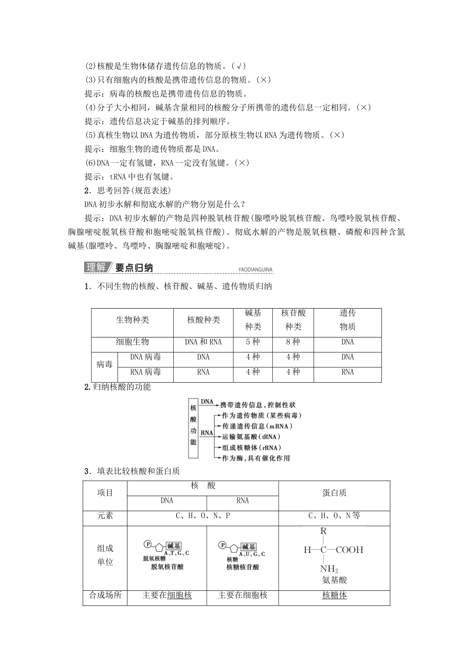高考生物一轮复习 第1单元 第4讲 核酸、糖类和脂质教学案 新人教版-新人教版高三全册生物教学案_第2页