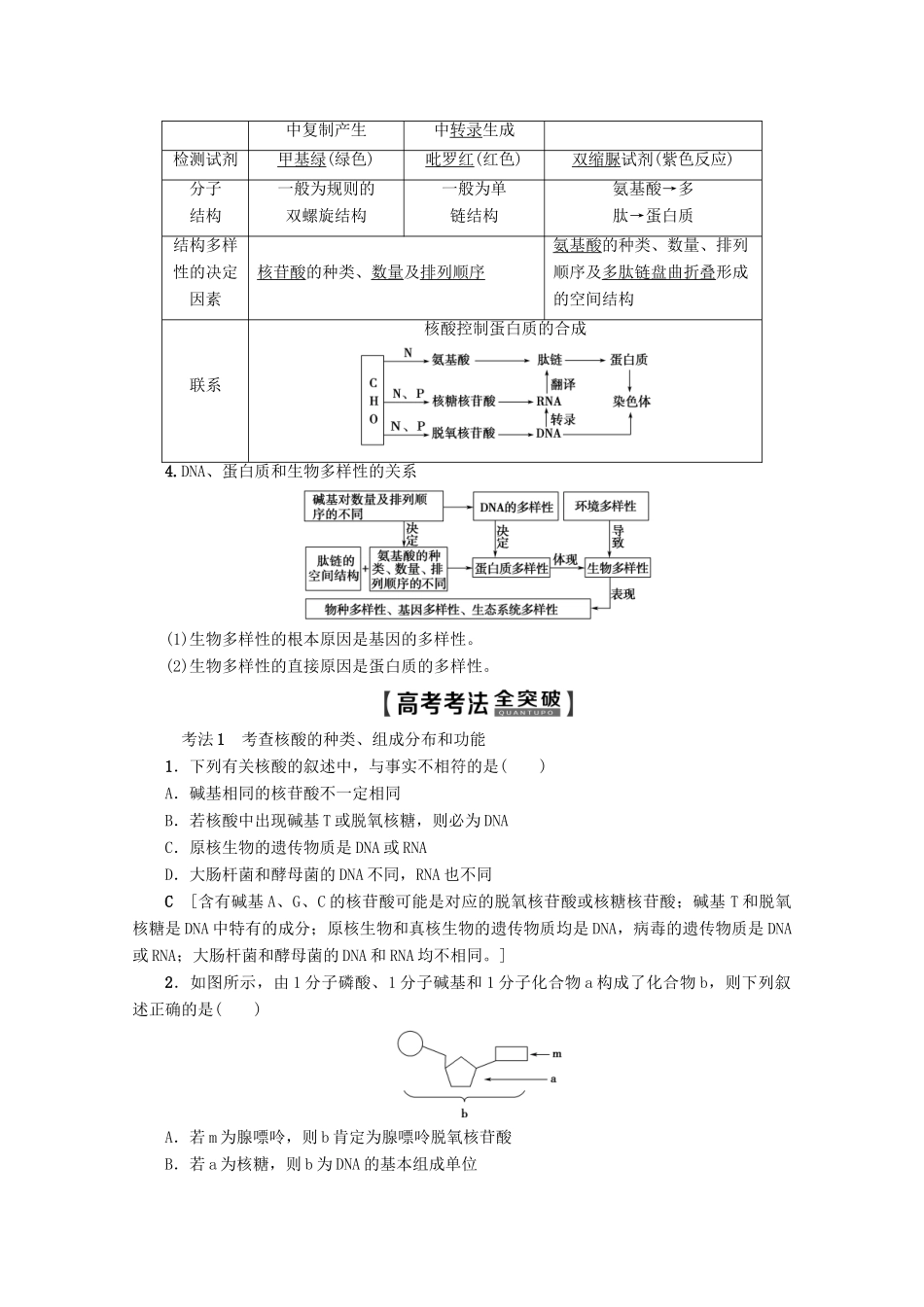 高考生物一轮复习 第1单元 第4讲 核酸、糖类和脂质教学案 新人教版-新人教版高三全册生物教学案_第3页