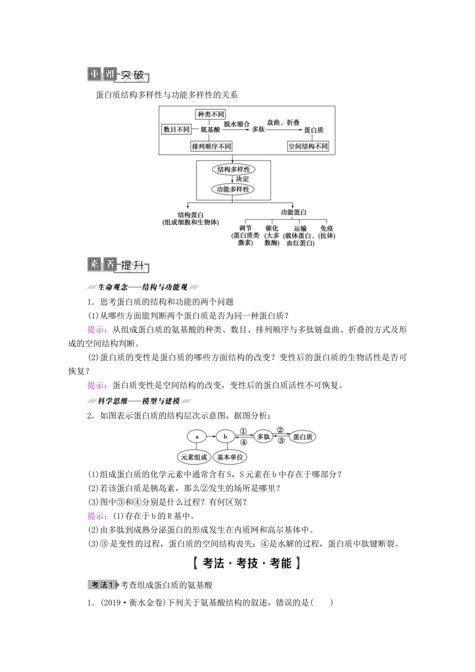 高考生物一轮复习 第1单元 细胞及其分子组成 第3讲 生命活动的主要承担者——蛋白质教学案 新人教版必修1-新人教版高三必修1生物教学案_第3页
