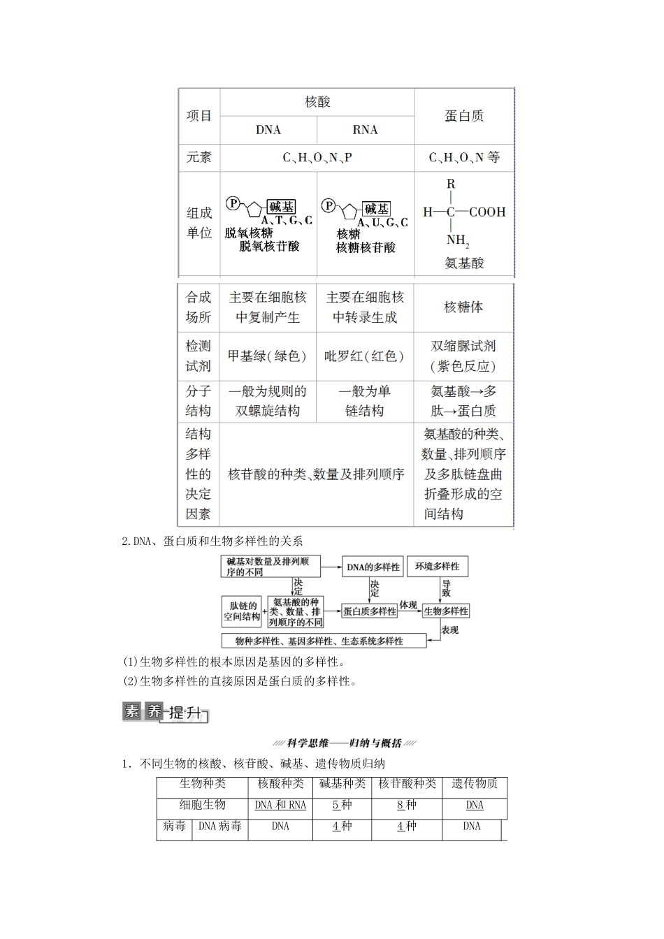 高考生物一轮复习 第1单元 细胞及其分子组成 第4讲 核酸、糖类和脂质教学案 新人教版必修1-新人教版高三必修1生物教学案_第3页