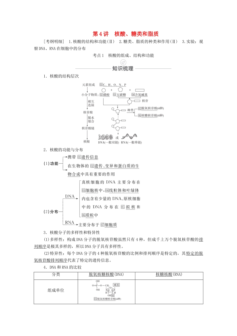 高考生物一轮复习 第1单元 走近细胞及细胞的分子组成 第4讲 核酸、糖类和脂质教学案 新人教版必修1-新人教版高三必修1生物教学案_第1页