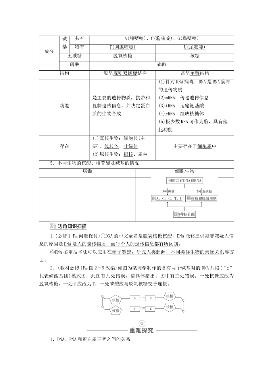 高考生物一轮复习 第1单元 走近细胞及细胞的分子组成 第4讲 核酸、糖类和脂质教学案 新人教版必修1-新人教版高三必修1生物教学案_第2页