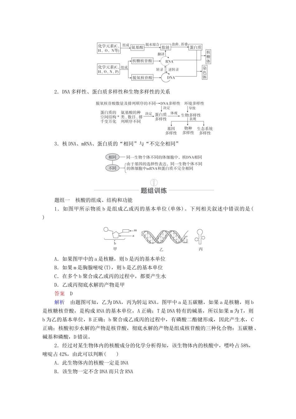 高考生物一轮复习 第1单元 走近细胞及细胞的分子组成 第4讲 核酸、糖类和脂质教学案 新人教版必修1-新人教版高三必修1生物教学案_第3页