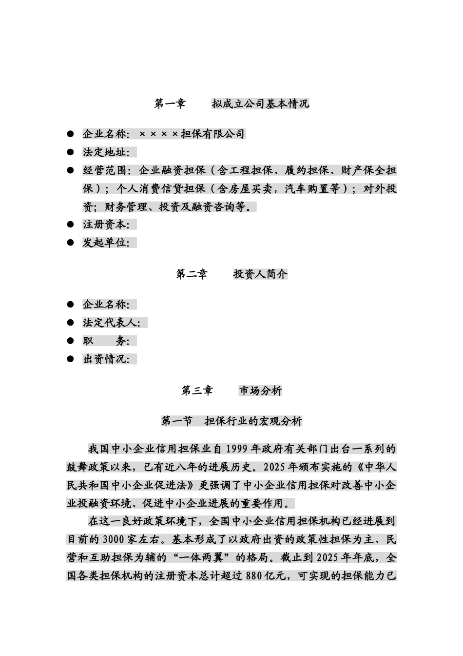 担保公司可行性研究报告_第3页