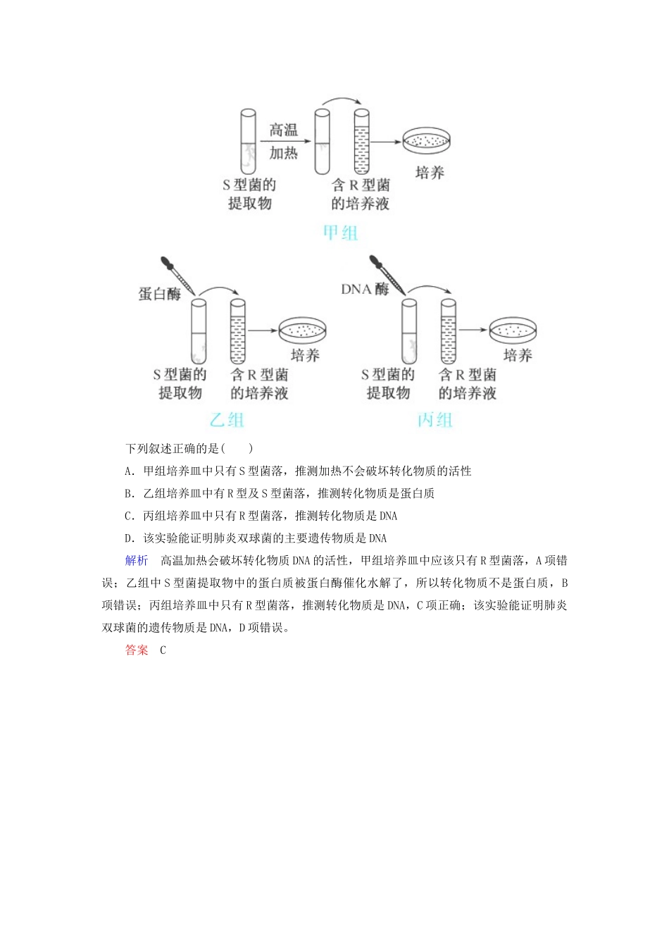 高考生物二轮复习 第四单元 遗传、变异与进化教学案（含解析）-人教版高三全册生物教学案_第3页