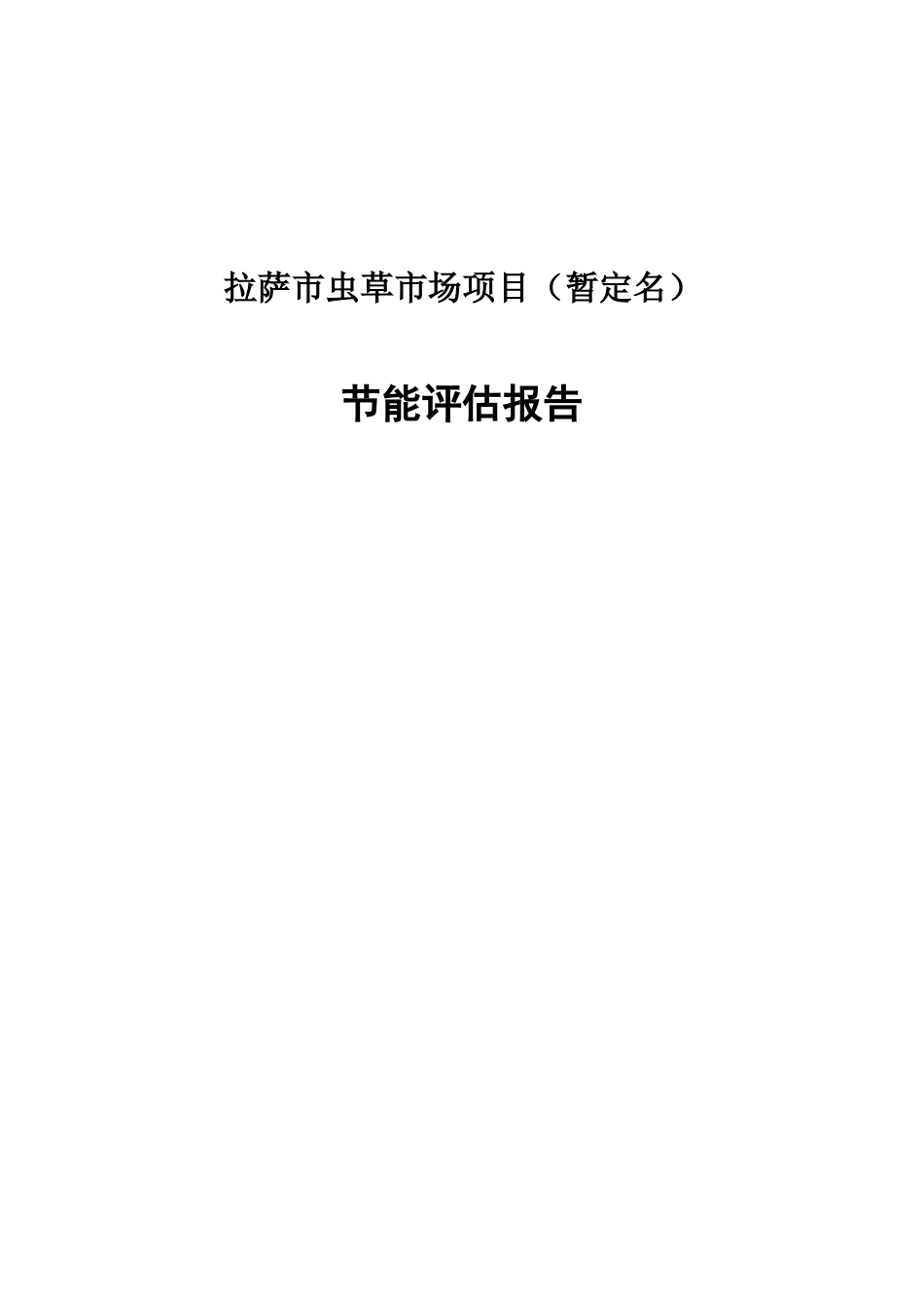 拉萨虫草市场项目节能评估报告书_第1页
