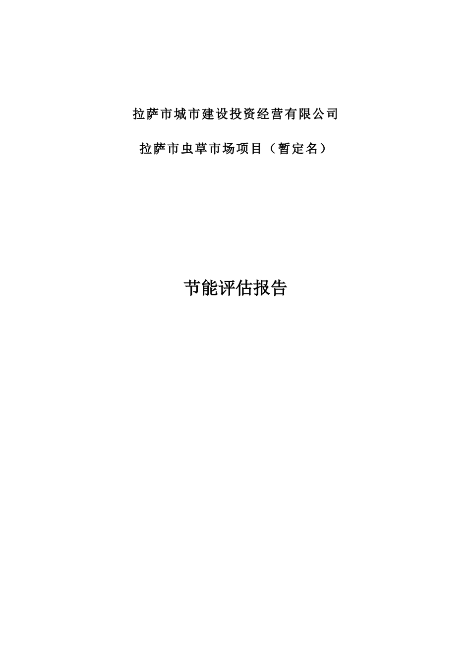 拉萨虫草市场项目节能评估报告书_第3页