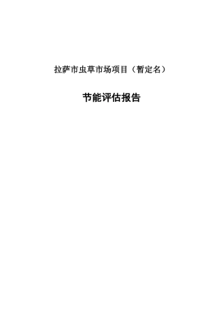 拉萨虫草市场项目节能评估报告书