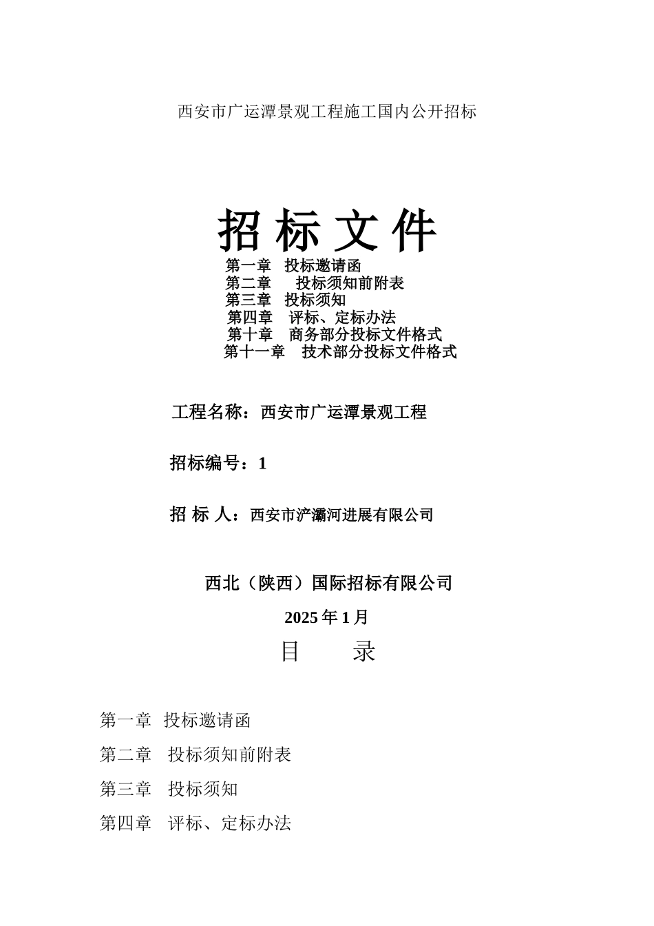 招标文件实例_第1页