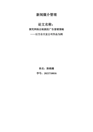 探究网络自制剧的广告营销策略以万合天宜公司作品为例大学本科毕业论文