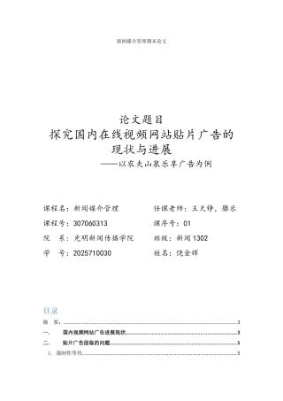 探究国内在线视频网站贴片广告的现状与发展正文终稿