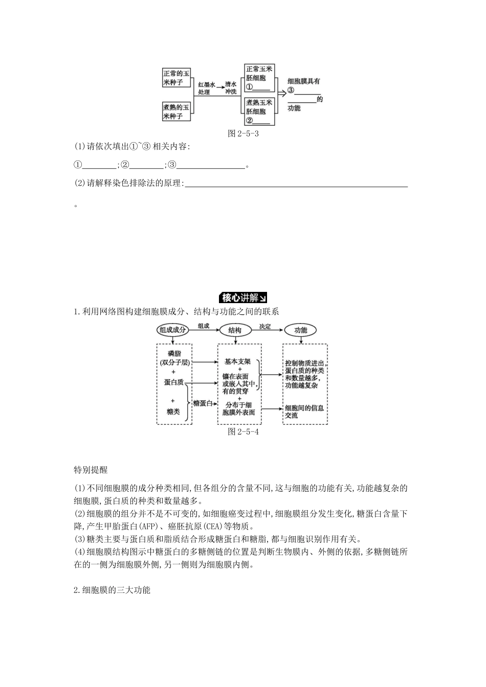 高考生物一轮复习 第2单元 细胞的结构与物质的运输 第5讲 细胞膜与细胞核学案 苏教版-苏教版高三全册生物学案_第3页