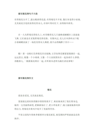 描写菊花的句子片段