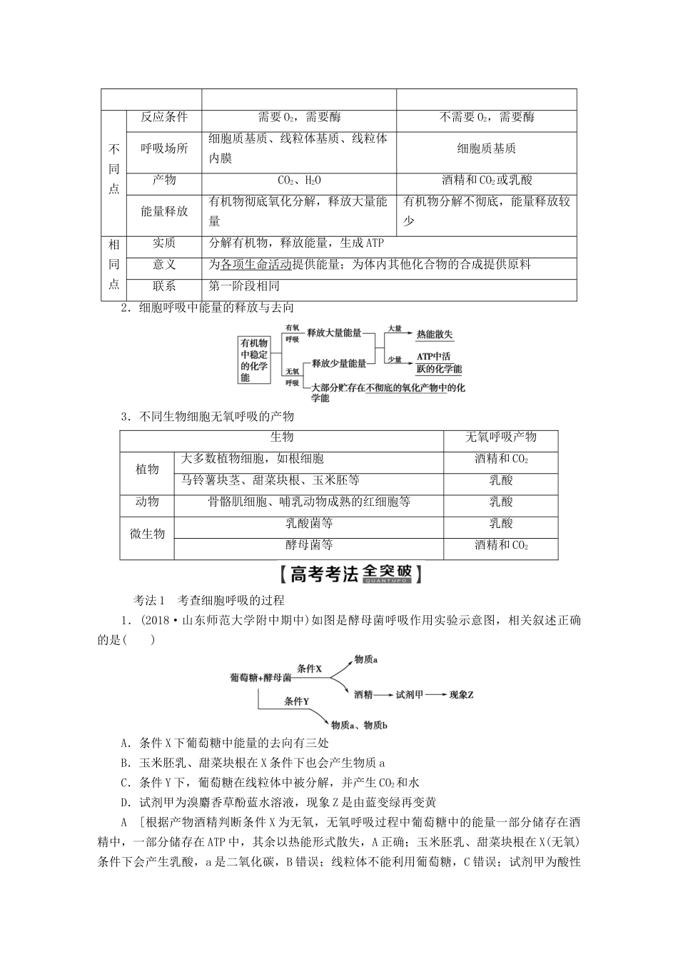 高考生物一轮复习 第3单元 第2讲 细胞呼吸教学案 新人教版-新人教版高三全册生物教学案_第3页