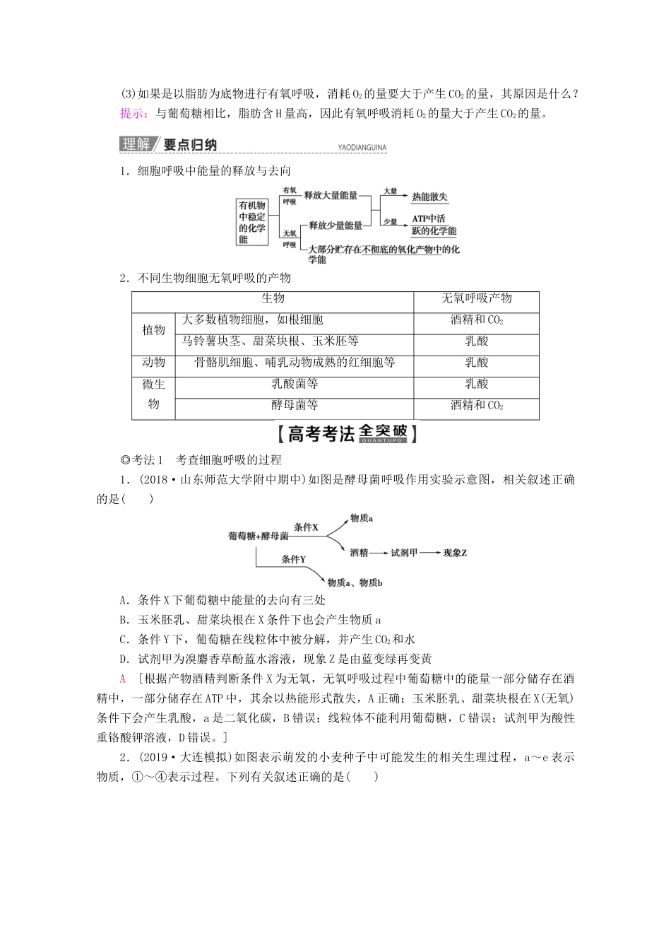 高考生物一轮复习 第3单元 第4讲 细胞呼吸教学案 苏教版必修1-苏教版高三必修1生物教学案_第3页