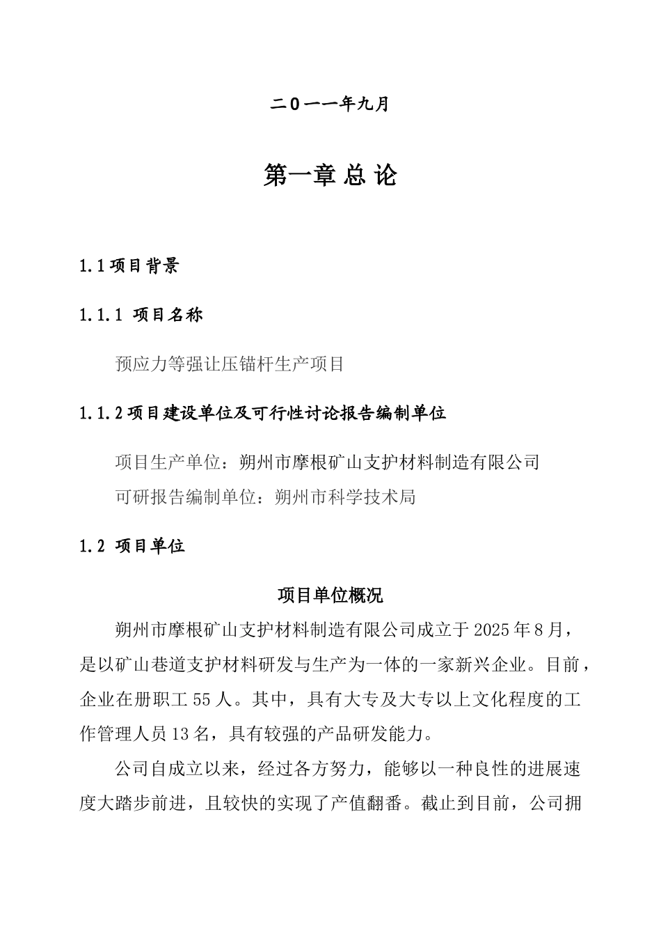 摩根公司锚杆项目可行性研究报告_第3页