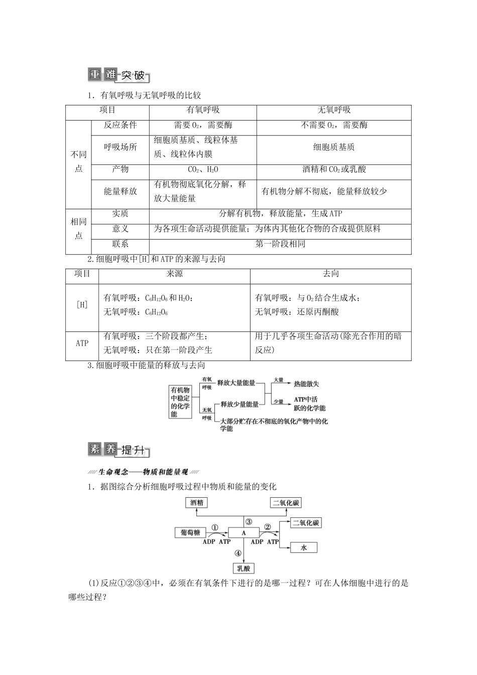 高考生物一轮复习 第3单元 细胞的能量供应和利用 第2讲 细胞呼吸教学案 新人教版必修1-新人教版高三必修1生物教学案_第3页