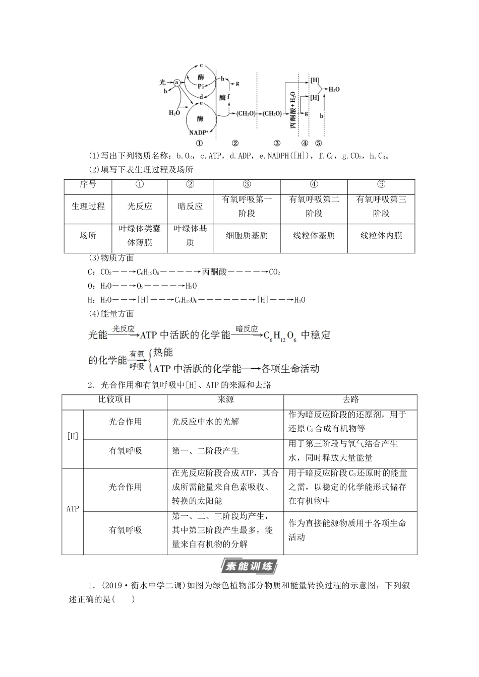 高考生物一轮复习 第3单元 细胞的能量供应和利用 素养加强课2 光合作用细胞呼吸的综合教学案 新人教版必修1-新人教版高三必修1生物教学案_第2页