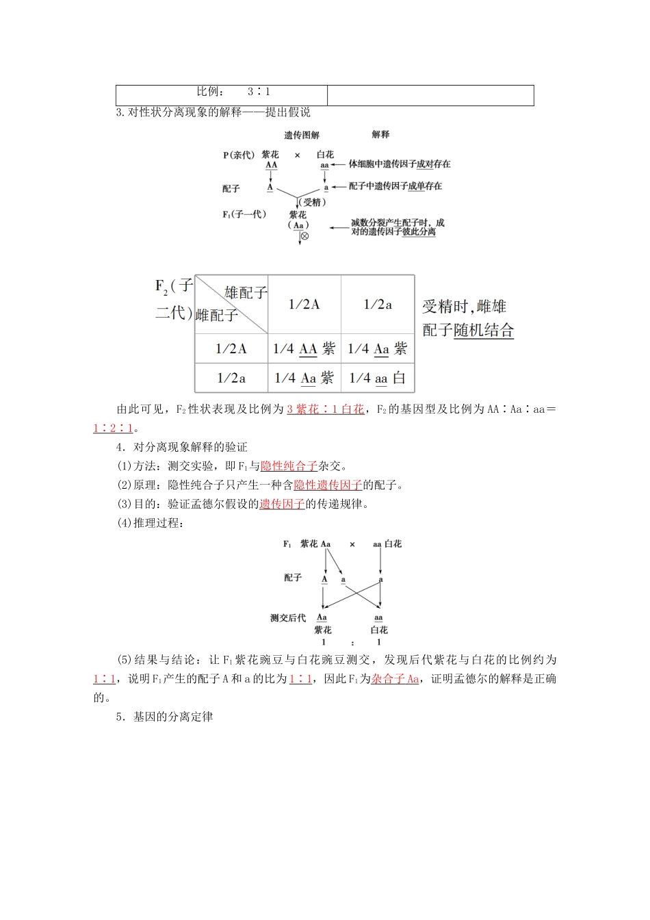 高考生物一轮复习 第5单元 第1讲 孟德尔的豌豆杂交实验（一）教学案 苏教版必修2-苏教版高三必修2生物教学案_第2页