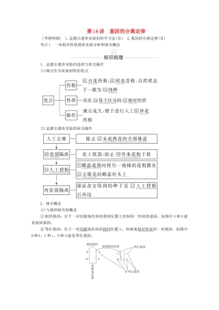 高考生物一轮复习 第5单元 遗传的基本规律与伴性遗传 第14讲 基因的分离定律教学案 新人教版必修2-新人教版高三必修2生物教学案
