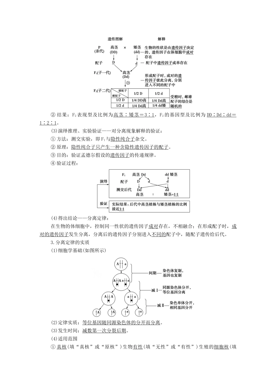 高考生物一轮复习 第5单元 遗传定律的伴性遗传 第1讲 孟德尔的豌豆杂交实验（一）教学案 新人教版必修2-新人教版高三必修2生物教学案_第3页