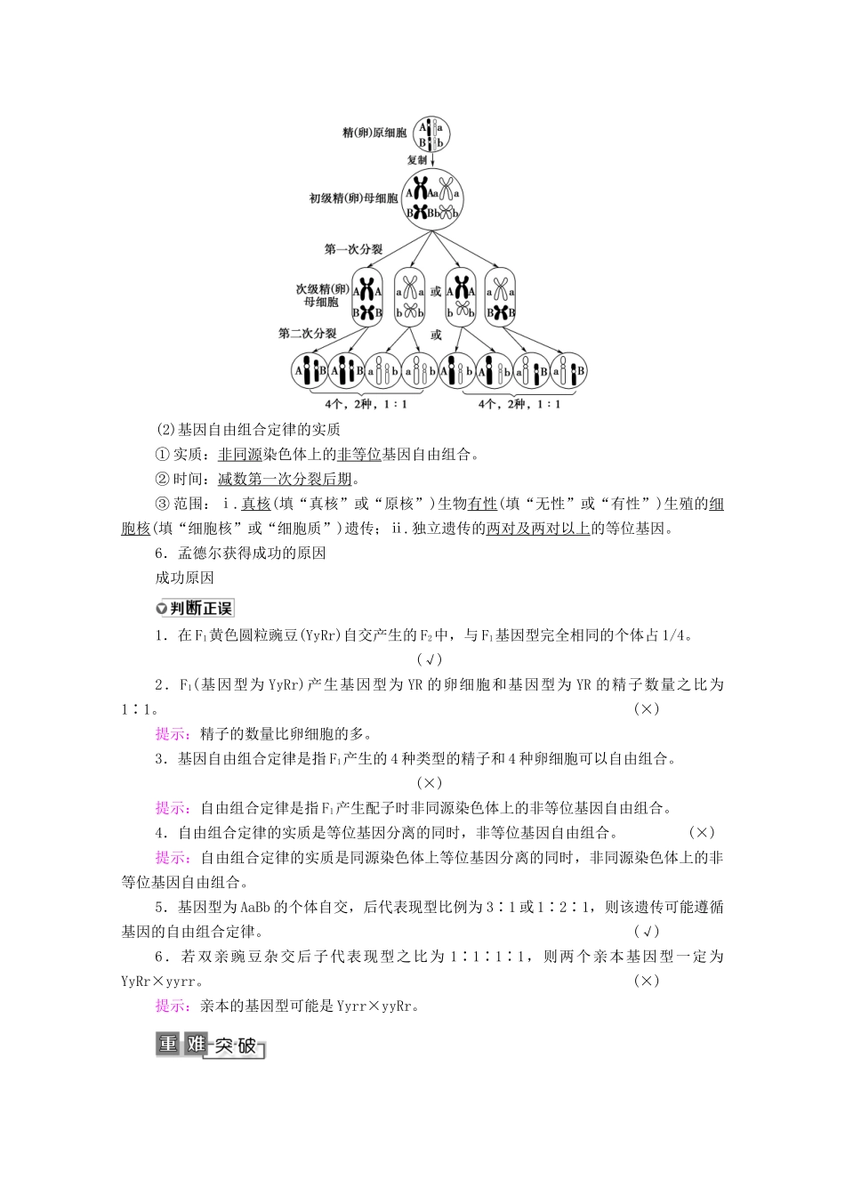 高考生物一轮复习 第5单元 遗传定律的伴性遗传 第2讲 孟德尔的豌豆杂交实验（二）教学案 新人教版必修2-新人教版高三必修2生物教学案_第3页