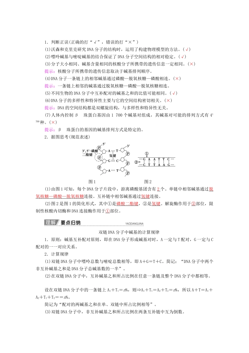 高考生物一轮复习 第6单元 第2讲 DNA分子的结构、复制与基因的本质教学案 苏教版必修2-苏教版高三必修2生物教学案_第2页