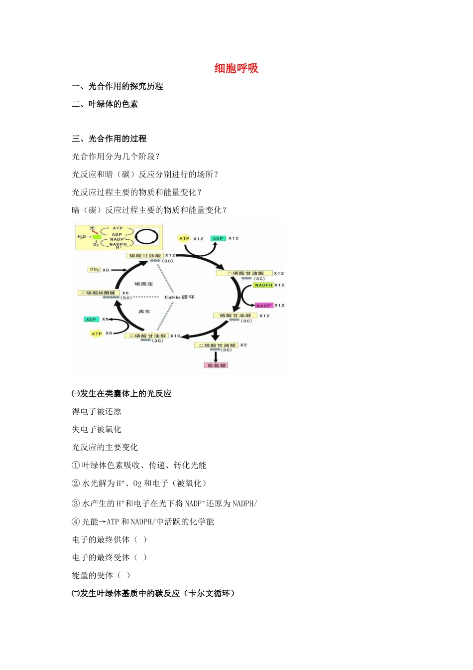 高考生物专题复习 6光合作用（二）光合作用原理及应用学案-人教版高三全册生物学案_第1页
