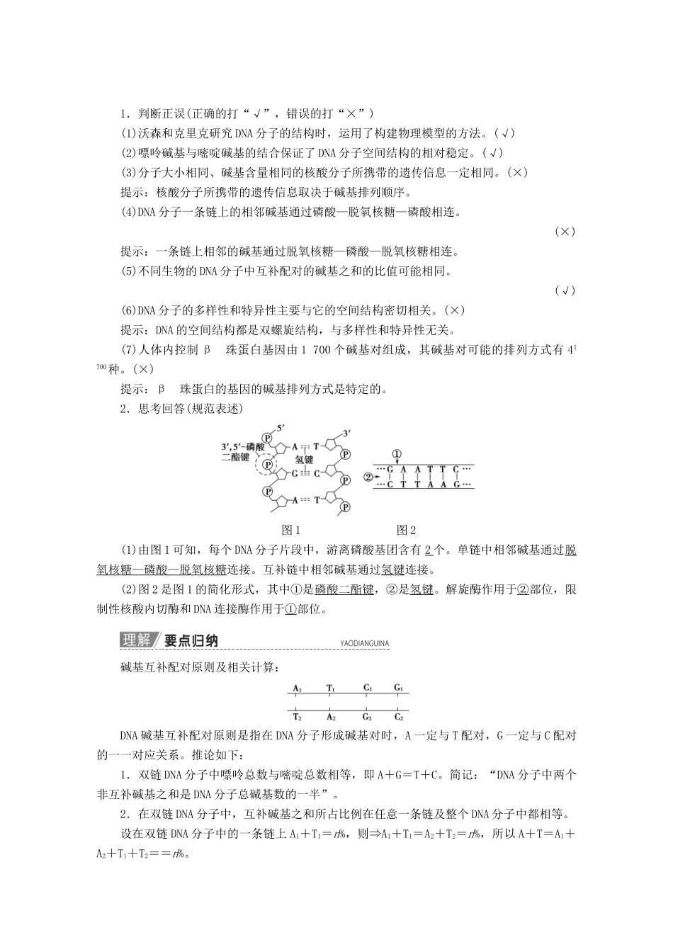 高考生物一轮复习 第6单元 第2讲 DNA分子的结构、复制与基因的本质教学案 新人教版-新人教版高三全册生物教学案_第2页