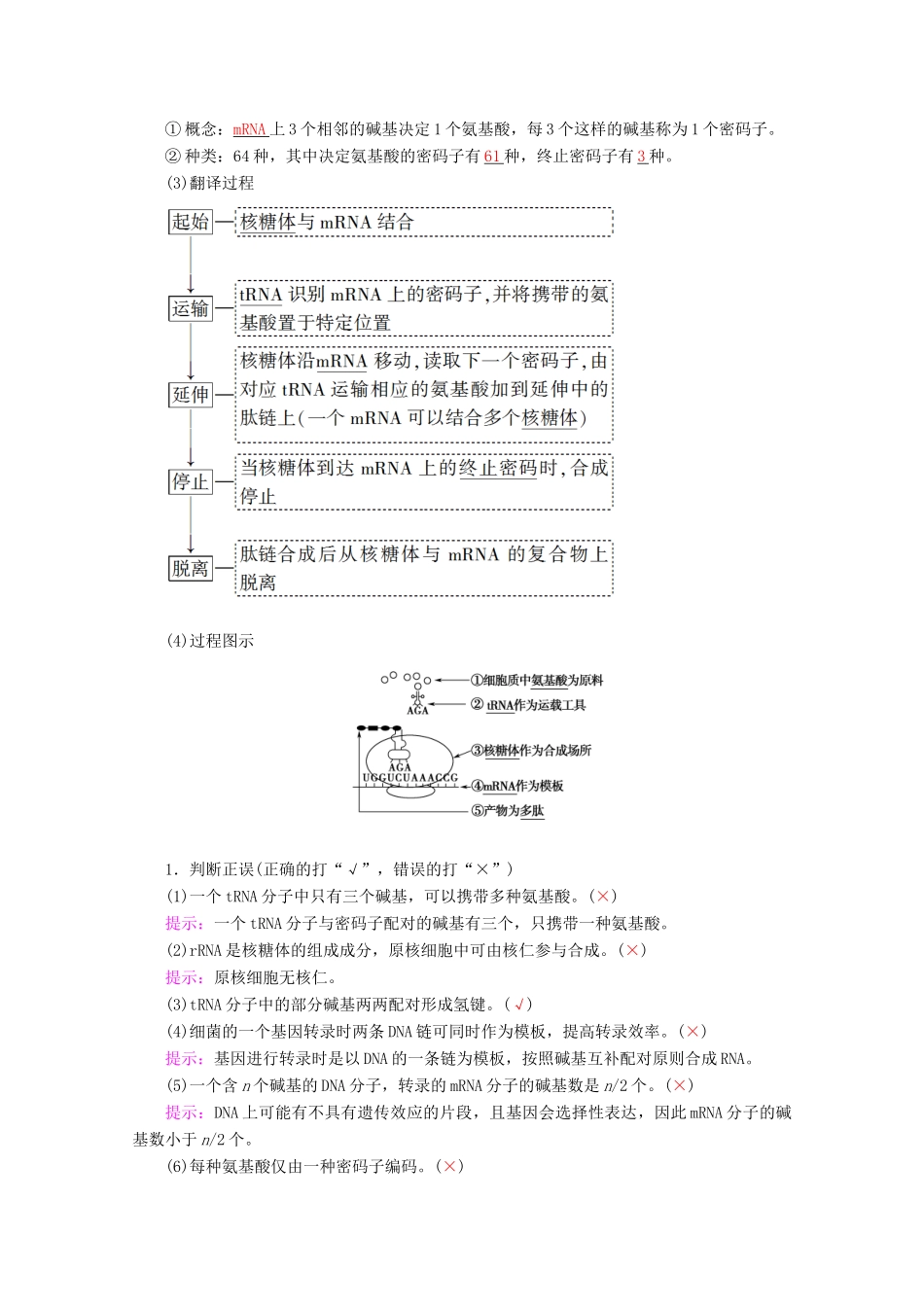 高考生物一轮复习 第6单元 第3讲 基因控制蛋白质的合成教学案 苏教版必修2-苏教版高三必修2生物教学案_第2页